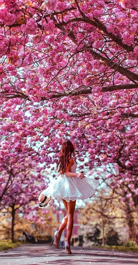 Library Photo Shoot, Cherry Blossom Pictures, London Photoshoot, Nyc Photoshoot, Rose Gold Aesthetic, Spring Photoshoot, Flower Photoshoot, Grad Photoshoot, Cherry Blossom Festival