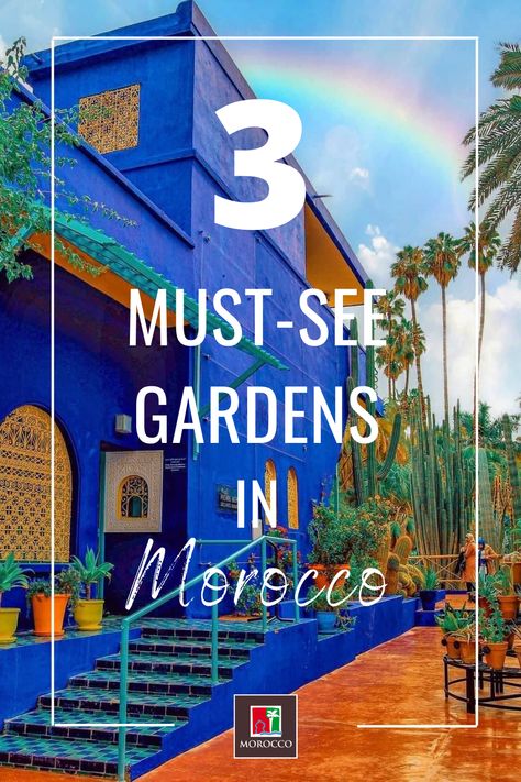 With beautiful gardens all over the country, it is easy to find a beautiful green place to hang out in Morocco. From Jnan sbil Gardens in Fez to the exotic gardens of Bouknadel in Rabat, make sure to add a stop by a lush location to your journey. 📷by @captureitrn_ & @anotherlookofpictures (Instagram account) #Visitmorocco #Morocco #Moroccotravel #Marrakech Morocco Garden, Marrakech Gardens, Morocco Sightseeing, Majorelle Gardens Marrakech, Morocco Tourism, Moroccan Garden, Morocco Fez, Fez Morocco, Gardens Of The World