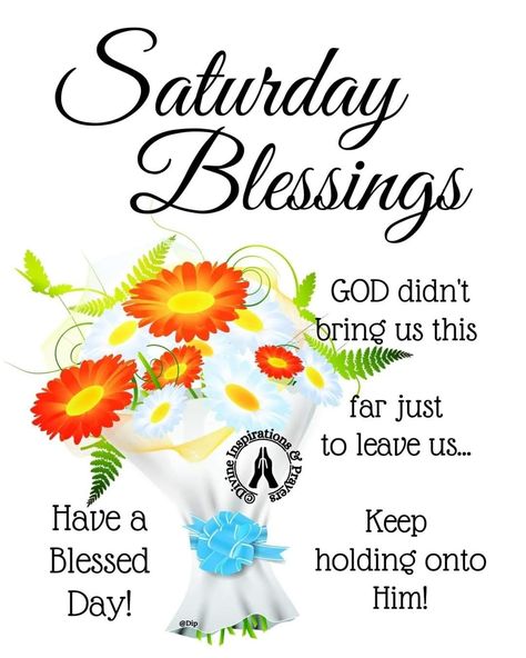 Happy Saturday Blessings, Divine Inspiration And Prayers, Have A Blessed Day Inspiration, Saturday Love, Good Morning Messages Friends, Saturday Morning Quotes, Good Night Love Pictures, Beautiful Screensavers, Saturday Blessings