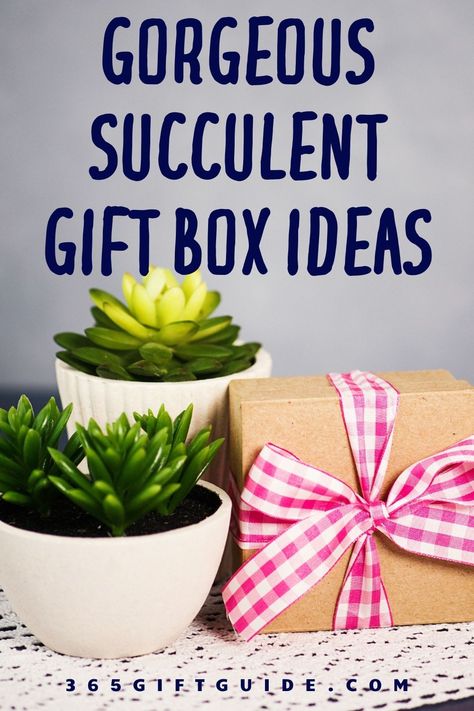 Succulent Gift Box Ideas, Succulents Gift Ideas, Succulent Gift Ideas, First Apartment Gift, Succulent Theme, Gift Box Ideas, Succulent Gift, Succulent Gifts, Christmas Gift Basket