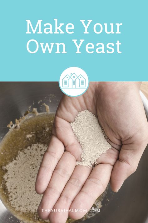 How To Make Yeast, How To Make Your Own Yeast, Starter Yeast How To Make, Make Your Own Yeast, How To Test Yeast For Freshness, Diy Yeast, Making Yeast, Activating Dry Yeast, Instant Yeast Vs Active Dry Yeast