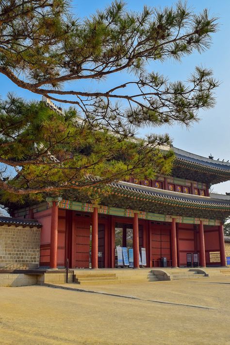 Gwanghwamun Square, Changdeokgung Palace, Gyeongbokgung Palace, South Korea Seoul, South Korea Travel, Destinations Travel, Korea Travel, Royal Palace, Travel Itinerary