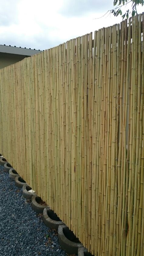 Bamboo Screening Ideas, Bamboo Fence Ideas, Bamboo Screening Fence, Bamboo Garden Fences, Coffee House Design, Bamboo Privacy, Bamboo Screening, Bamboo House Design, Bamboo Panels