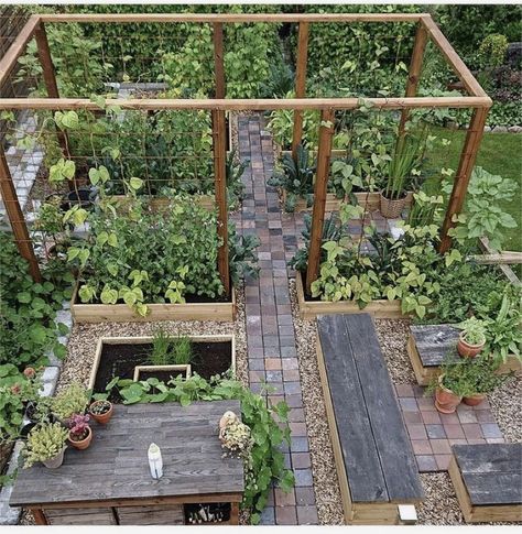 Steep Gardens, Lots Of Plants, Greenhouse Garden, Garden Idea, Veg Garden, Garden Greenhouse, School Garden, Magical Garden, Native Garden