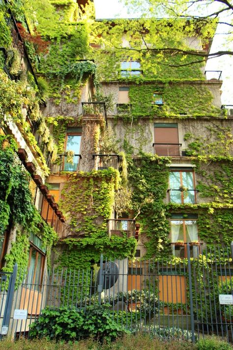 Eco Brutalism, Eco City, I Want To Live, Green Architecture, Green City, Brutalism, Pretty Places, Abandoned Places, Amazing Architecture