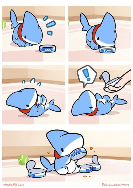 Vress Shark, Shark Puppy, Shark Dog, Pet Shark, Shark Art, Cute Shark, 영감을 주는 캐릭터, Kawaii Drawings, Cute Animal Drawings