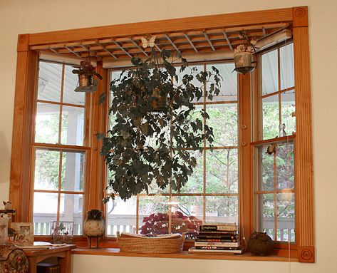 Plant Bay Window, Bay Window Garden, Bay Windows Ideas, Window Garden Ideas, Bay Window Decor, Windows Ideas, Luxury Windows, Window Garden, Plant Window