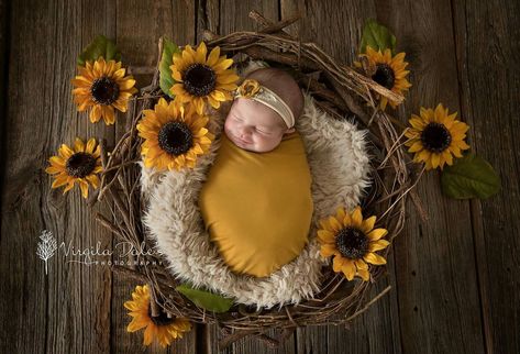 Foto Newborn, Sunflower Baby Showers, Baby Pictures Newborn, Baby Picture Ideas, Newborn Baby Photoshoot, Baby Birds, Baby Cocoon, Diy Bebe, Newborn Pics