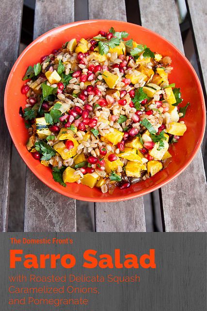 Warm Farro Salad with Roasted Delicata Squash Warm Farro Salad, Roasted Delicata Squash, Vegetarian Thanksgiving Recipes, Jellied Cranberry Sauce, Vegetarian Chicken, Healthy Side Dish, Farro Salad, Vegetarian Thanksgiving, Delicata Squash