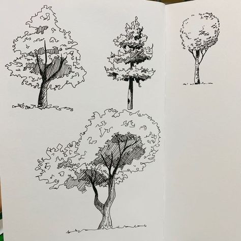 Landscape Drawings Architecture, Back Sillouhette Drawing, Urban Sketching Trees, Trees Drawing Reference, Tree Perspective Drawing, Tree Reference Drawing, Tree Architecture Drawing, Tree Drawing Architecture, Tree Drawing Reference