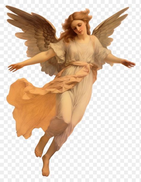 Png Angel, Angel Png, Angel Wings Png, Angel Flying, Angel Illustration, Wings Png, Angel Wings Art, Roman Statue, Angel Artwork