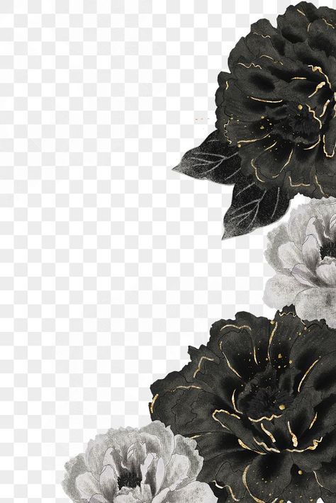 Black Flower Background, Flower Background Aesthetic, White Flower Png, Png Border, Bond Paper Design, Black Japanese, Box Icon, Vintage Png, Black White And Gold