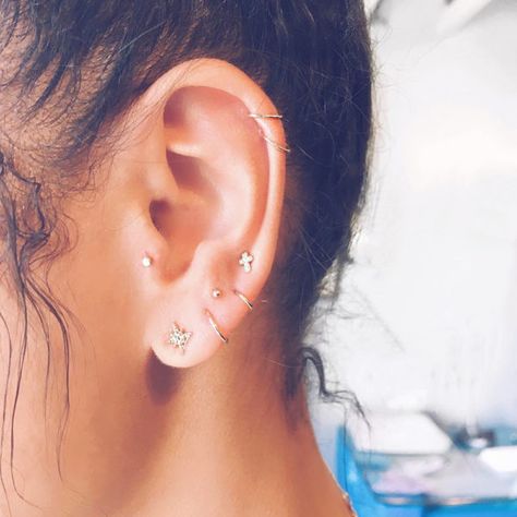 - Tragus, multiple lobe and double helix. @minnah1999 Ear Piercing Combinations, Constellation Piercings, Septum Piercings, Multiple Earrings, Multiple Ear Piercings, Cute Ear Piercings, Ear Party, Cute Piercings, Piercings Unique