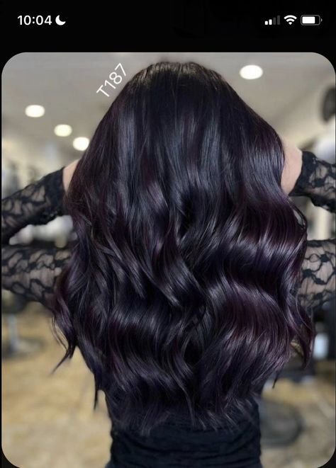 Purplish Black Hair Color, New Dark Hair Color Ideas, Black Hair With Red Violet Balayage, Black Amethyst Hair Color, Black Hair Plum Highlights, Black Hair With Purple Lowlights, Black Orchid Hair Color, Black Hair With Tint Of Color, Midnight Violet Black Hair Color