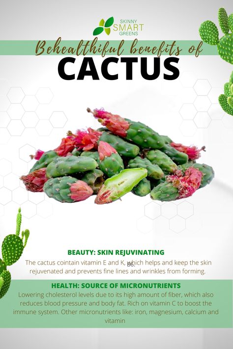 C A C T I don't just help you to keep the air fresh, remove toxins from the environment, or are way more than just pretty faces. You'll be surprised by the healthful and nurturing benefits it offers. Cacti are in fact a good source of micronutrients helpful in our body and have a skin rejuvenating power to keep you young looking. Find out more behealthiful benefits by keep tuning in. #skinnysmartgreens #tothebehealthifulyou #cactus Cactus Benefits, Air Fresh, Inflammatory Diet, Remove Toxins, Natural Health Tips, Pretty Faces, Cholesterol Levels, Blood Pressure, Our Body