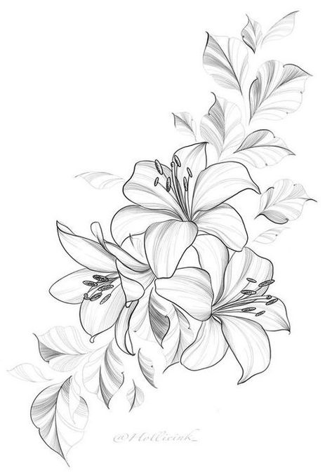 Lillies Tattoo Stencil, Gilded Lily Tattoo, Tiger Lilly Drawing Flowers, Lily Line Tattoo, Tiger Lily Tattoo Design, Orange Lily Tattoo, Tigerlily Tattoo, Stargazer Tattoo, Lily Tattoos For Women