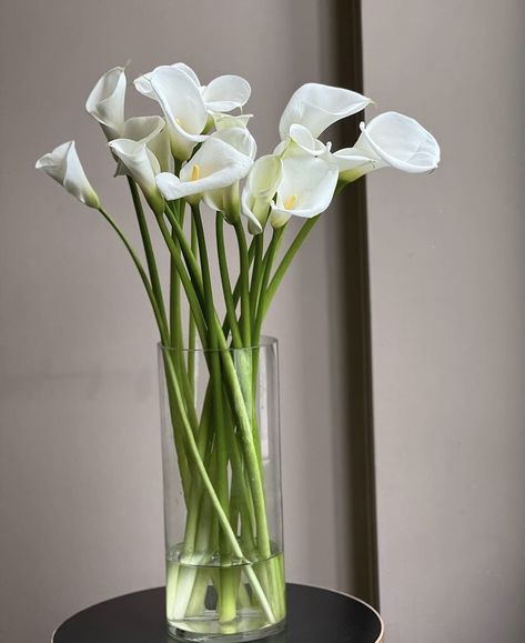 Calla Lily Aesthetic, Calla Lily Vase, Cala Lillies, Rubber Band Crafts, Fresh Wedding Flowers, Arum Lily, Flowers Photography Wallpaper, Flower Arrangements Simple, White Wedding Bouquets