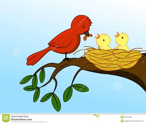 Illustration about Illustration of mother bird feeding baby bird. Illustration of care, lovely, character - 22747289 Mother Character, Mother Bird, Bird Feeding, Feeding Baby, Dress Painting, Baby Illustration, Baby Bird, Bird Illustration, Baby Feeding