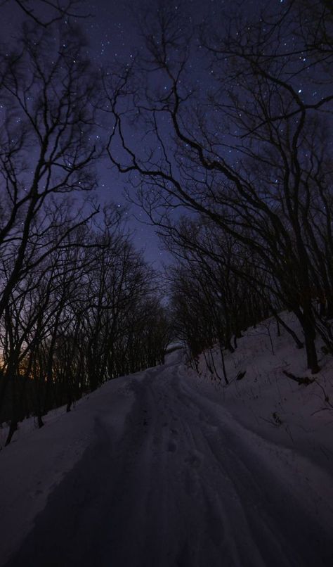 Sky Iphone, Dark Naturalism, Dark Forest Aesthetic, Snow Night, Snow Forest, Night Forest, Forest Wallpaper, Winter Wallpaper, Winter Scenery