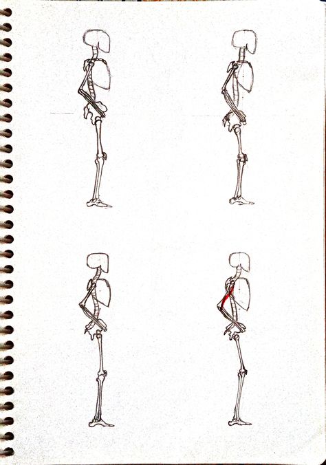 human skeleton side view practice How To Draw A Skull Side View, Skeleton Side Profile, Skeleton Side View, Skull Side View, Analytical Drawing, Skeleton Back, Female Skeleton, Skull Anatomy, Skeleton Anatomy