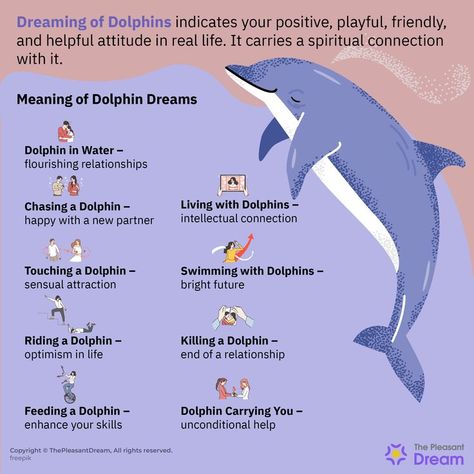 Dreaming of dolphins is a positive sign, carrying a wide range of positive feelings. This animal acts as a symbol of empathy, connection, and various forms of happiness. #dreamingofdolphins #dolphindreams #dolphins #dreammeaning #dreaming #dreamsymbolism #thepleasantdream #dreaming #dreams #animalindream #animals #attack Spirit Animal Meaning, Animal Meanings, Dream Meaning, Harry Potter Items, Animal Spirit Guides, Dream Meanings, Symbols And Meanings, Dream Interpretation, Feeling Positive