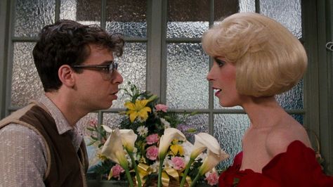 Lil Shop Of Horrors, Little Shop Of Horrors Costume, Suddenly Seymour, Rick Moranis, Little Shop Of Horrors, Theatre Kid, Musical Movies, Film Stills, Chris Evans