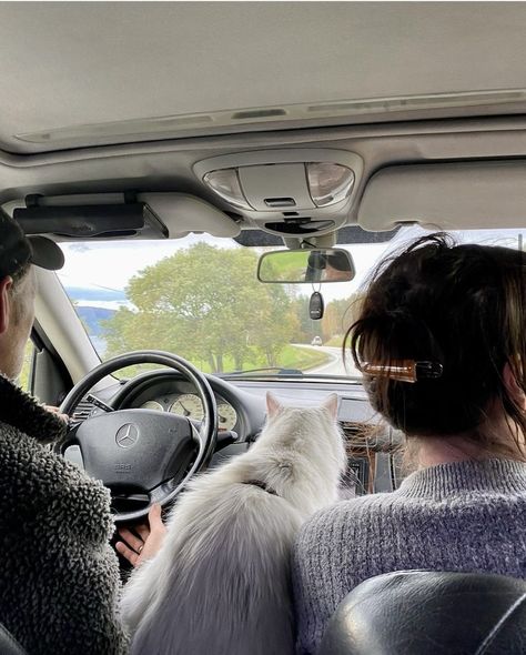 Family Road Trip Aesthetic, 2025vision Board, Truck Aesthetic, Roadtrip Aesthetic, 2025 Goals, Birman Cat, Adventure Cat, Private Plane, Photos Inspo