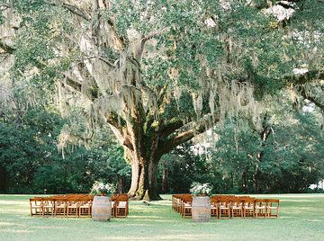 Photo from Cory + Rachel collection by Cassidy Carson Photography Wedding Venues South Carolina, Southern Wedding Venues, Charleston South Carolina Wedding, Destination Wedding Cost, Louisiana Wedding, South Carolina Wedding, Charleston Wedding Photographer, Spanish Moss, Carolina Wedding