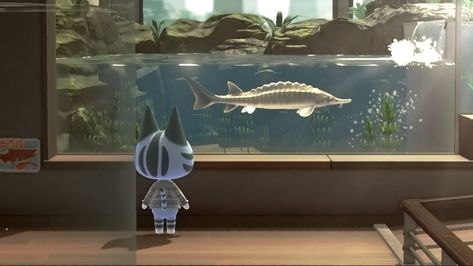 Animal Crossing Banner Gif, Acnh Aquarium, Animal Crossing Aquarium, Acnh Pascal, Blue Scenery, Nintendo Aesthetic, Fish Banner, Blue Banner, Twitter Banner