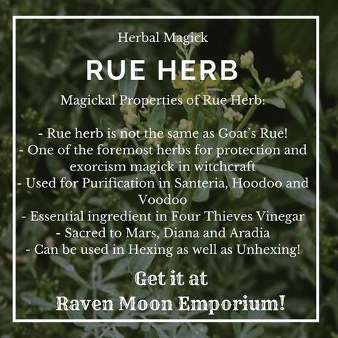 Herbs For Uncrossing, Spiritual Herbalism, Pagan Knowledge, Uncrossing Herbs, Four Thieves Vinegar, Witchy Herbs, Magick Herbs, Goats Rue, Magic Queen