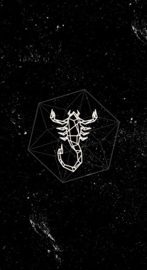 🦂 Scorpio Aesthetic, Scorpio Art, Scorpion Tattoo, Scorpio Zodiac, Wallpaper Art, Scorpion, Phone Wallpapers, Aesthetic Wallpaper, Zodiac Signs