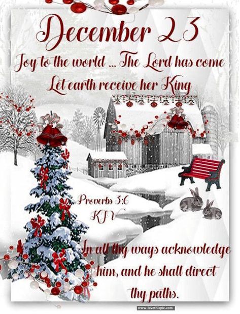 December 23 Pictures, Photos, and Images for Facebook, Tumblr, Pinterest, and Twitter December Scriptures, Christmas Verses, Christmas Scripture, Christmas Bible Verses, Christmas December, Merry Christmas Quotes, Christmas Bible, 17 December, Christmas Poems