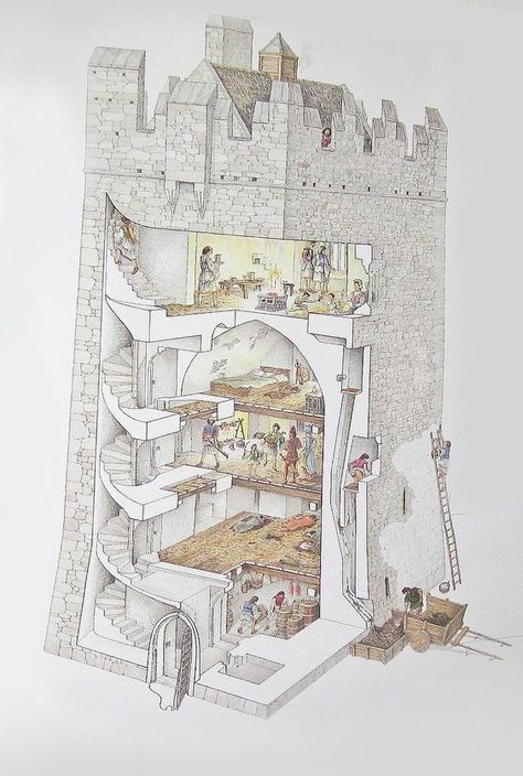 Illustration of Ross Castle inner structure by David Lippincott Castle Layout, Ross Castle, Castle Drawing, Section Drawing, Chateau Medieval, Irish Castles, The Europe, Medieval Castles, Castle Tower