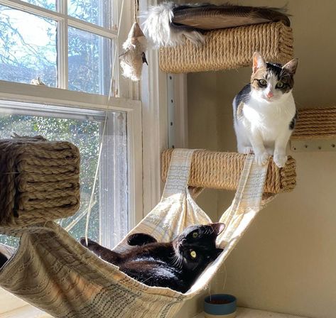 Build an Amazing DIY Cat Tree Tower: 7 Free Plans and Ideas Corner Cat Hammock Diy, Pallet Cat Tower, Small Home Cat Ideas, Cat Tree In Front Of Window, Diy Cat Tree On Wall, Homemade Cat Tower Diy, Window Cat Tree, Cute Cat Tree Diy, Ideas For Cat Rooms