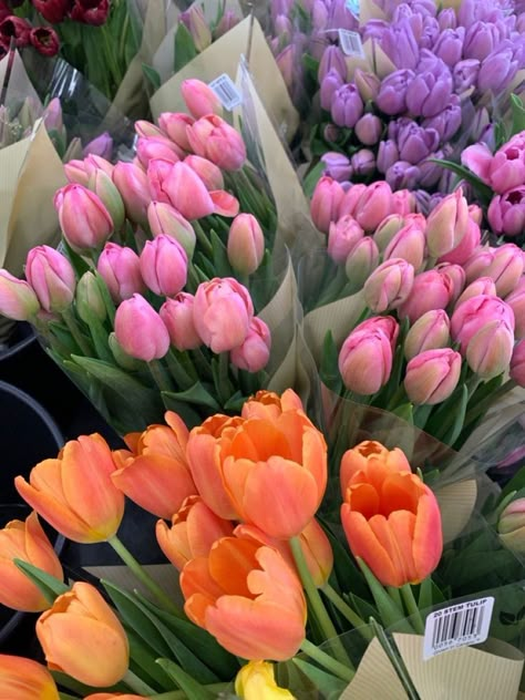 Boquette Flowers, Nothing But Flowers, Flower Therapy, Beautiful Bouquet Of Flowers, Photo Wall Collage, Tulips Flowers, Flower Lover, Beautiful Bouquet, Flowers Nature