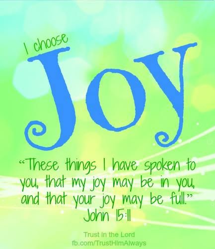 John 15 11, Family Sayings, Faith Sayings, Prayer Ideas, I Choose Joy, Lion Quotes, Word Joy, Joy Quotes, Church Camp