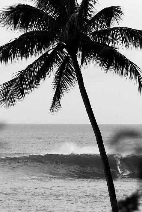 Mavericks Surfing, Black And White Beach, Soyut Sanat Tabloları, Surfing Photography, Surf Life, Black And White Aesthetic, White Picture, In The Ocean, Black And White Pictures