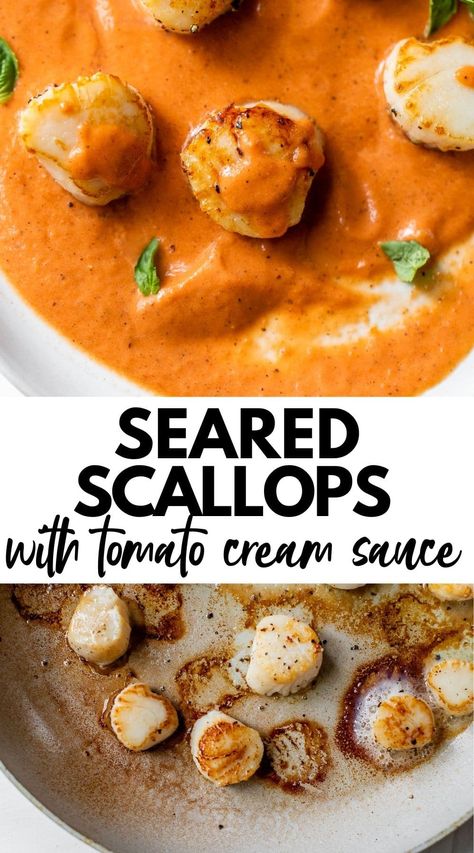 Seared Scallops are the ultimate "fancy" dinner recipe. They're pan-seared and coated in a delicious homemade, creamy tomato sauce that you'll want to make again and again! Sauce For Scallops, Best Scallop Recipe, Scallop Recipes Pasta, Scallop Pasta, Red Sauce Recipe, Dinners Ideas, Tomato Cream Sauce, Red Sauce Pasta, Fancy Dinner Recipes