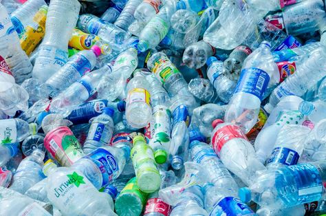 Biodegradable Waste, Recycle Water Bottles, Green Bin, Plastic Drink Bottles, Recycling Process, Evian Bottle, Types Of Plastics, Biodegradable Plastic, Dasani Bottle