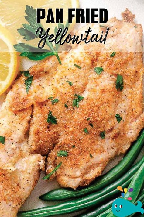 Fresh Yellowtail is breaded with almond flour, a little garlic powder, salt, and pepper, and quickly pan-fried in butter and olive oil. A delicious meal that cooks up in 5 minutes! #glutenfree #paleo #unprocessedfood #knowthecause #kaufmanndiet #freshyellowtail #keysrecipes #floridakeysfish #keylargorecipes Pan Fried Snapper, Breaded Snapper Recipes, Yellow Tail Snapper Recipe, Yellow Snapper Recipe Fish, Yellow Tail Fish Recipe, Yellowtail Tuna Recipe, Yellowtail Fish Recipes, Yellowtail Snapper Recipe, Yellowtail Recipe