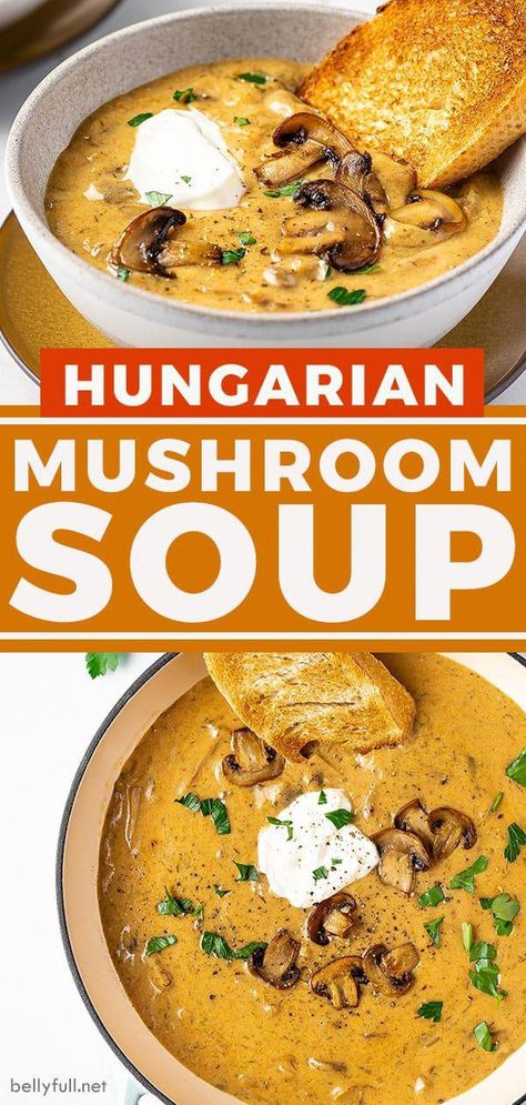 Rich and creamy, this Hungarian Mushroom Soup is loaded with flavors ranging from sweet paprika to dill weed and even a splash of lemon. It's a comforting vegetarian soup that's perfect for the cooler months. #Asian-InspiredSoupBowls Hungarian Mushroom, Hungarian Mushroom Soup, Hungarian Cuisine, Creamy Mushroom Soup, Sweet Paprika, Pinwheel Recipes, Hungarian Recipes, Vegetarian Soup, Hearty Soups