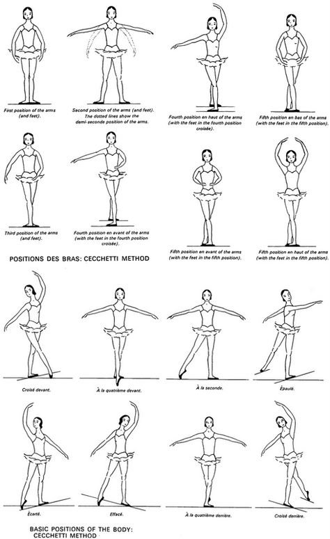 Posiciones                                                                                                                                                      Más Ballerina Poster, Ballet Basics, Dancing Poses, Ballet Positions, Ballet Technique, Ballet Moves, Vintage Ballerina, Dance Technique, Ballet Exercises