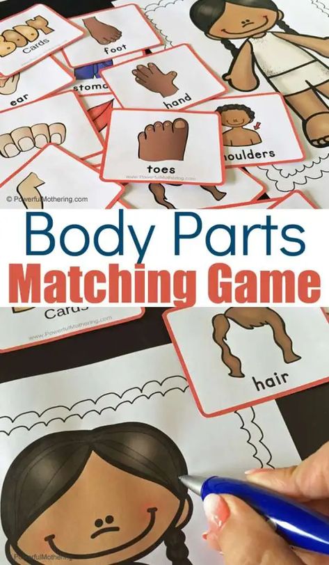 Printable Body Parts Matching Game – Lesson Plans Body Parts Theme, Body Parts Preschool Activities, Body Preschool, Human Body Activities, Body Parts Preschool, Activity Ideas, Toddler Learning, Kindergarten Worksheets, Health Facts