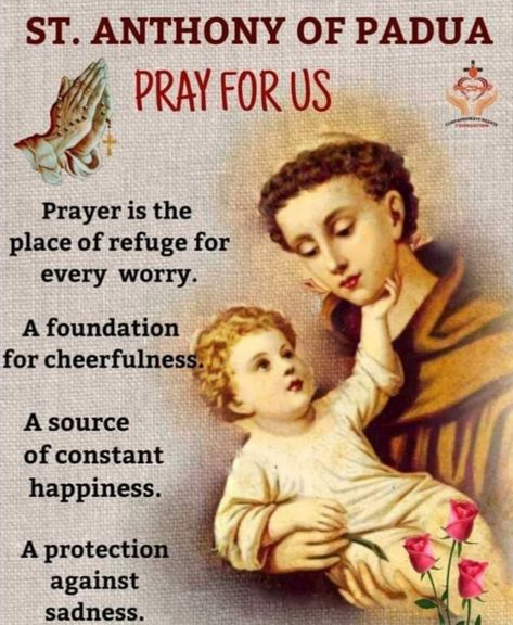 St Anthony Prayer, Sacred Heart Devotion, Saint Antony, Love You More Quotes, Saint Anthony Of Padua, Novena Prayers, Sign Of The Cross, Miracle Prayer, Saint Anthony