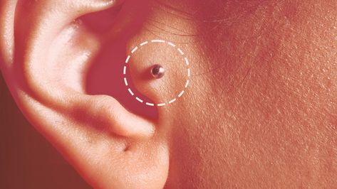 Tragus Piercings Are Everywhere Right Now — But Should You Get One? Tragus Piercings Jewelry, Tragus Piercing Healing Process, Dainty Tragus Piercing, Anti Tragus Piercing Ideas, Tragus And Forward Helix Piercing, Ear Piercing Ideas Tragus, Pretty Ear Piercings Classy, Tragus Piercing Ideas, Migraine Piercing