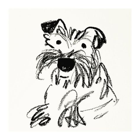 Dogs Doodles, Tattoos Of Dogs, Doodle Dog Drawing, Doodle Dogs, Shih Tzu Doodle, Fluffy Dog Drawing, Pets Illustration, Derpy Dog Drawing, Drawing Dogs