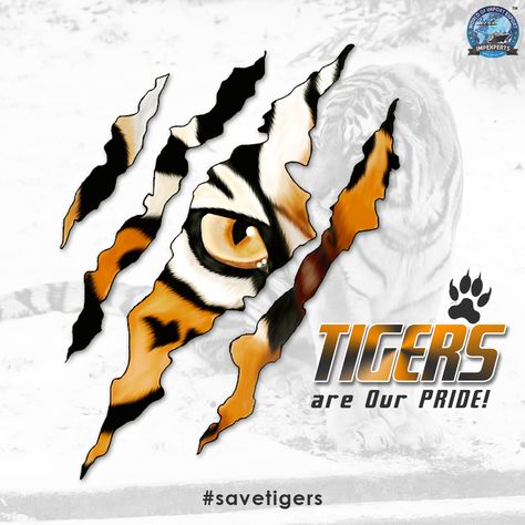 Save Tigers, save the pride of our country!  . HAPPY International Tigers Day!  . #InternationalTigerDay #tigerstateofIndia #savetigers Tigers Day Poster, Save Tiger Poster Drawing, Save The Tiger Poster, Save Tiger Drawing, International Tiger Day Poster, Save Tiger Poster Ideas, Tiger Day, Save The Tiger, Tiger Tails