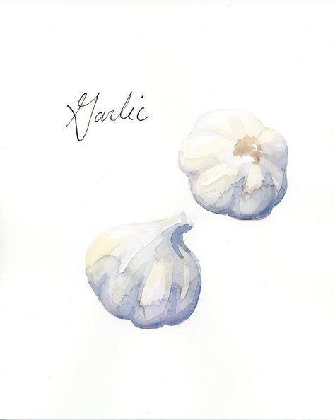 Kitchen Art Watercolor, Garlic Watercolor Paintings, Watercolor Garlic, Watercolor Onion, Kitchen Watercolor Art, Watercolor Art Food, Garlic Drawing, Garlic Painting, Watercolor Food Art