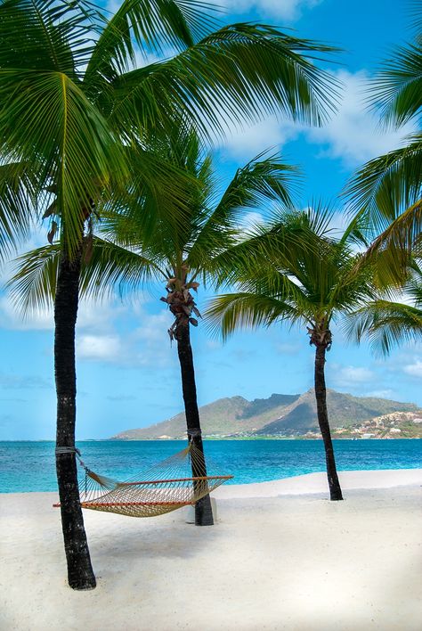 Where to stay and what to do when visiting Saint Vincent and the Grenadines Saint Vincent And The Grenadines, Palm Island, Saint Vincent, Tropical Beaches, Beaches In The World, Island Resort, Vacation Places, Seychelles, Vacation Spots