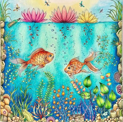 Ning Shu on Instagram: "Secret Garden - Johanna Basford 秘密の花園- Fish Pond 魚のいる池 My patience has come the end. I can no longer keep polishing this page. It has taken me five days to completely it. Still not happy with the background😊. #johannabasford #secretgardencoloringbook #johannabasfordcoloringbooks #colouringforadults #coloringtherapy #coloringistherapy #colouringforgrownups #colouring #adultcoloringforum #coloringisfun #coloringpages #addictedcoloring #prismacolors #friendswh Joanna Basford Secret Garden, Johanna Basford Secret Garden Coloring Book, Secret Garden Coloring Book Finished, Secret Garden Johanna Basford, Basford Secret Garden, Joanna Basford Coloring, Colouring Inspiration, Johanna Basford Secret Garden, Garden Coloring